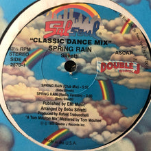 Load image into Gallery viewer, Bebu Silvetti : Spring Rain (12")
