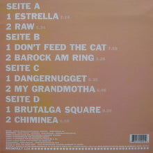 Load image into Gallery viewer, DJ Koze : Kosi Comes Around (2x12", Album)

