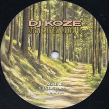 Load image into Gallery viewer, DJ Koze : Kosi Comes Around (2x12", Album)
