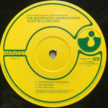 Load image into Gallery viewer, The Future Sound Of London Present The Amorphous Androgynous* : Alice In Ultraland (2xLP, Album, Ltd, Num)
