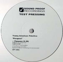 Load image into Gallery viewer, Young American Primitive : Pangaea / These Waves (12&quot;, Promo, TP)
