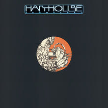 Load image into Gallery viewer, Hardfloor : Funalogue (12")
