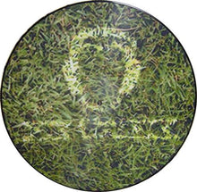Load image into Gallery viewer, Various : Picture Disc (12", Pic)
