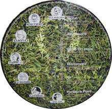 Load image into Gallery viewer, Various : Picture Disc (12", Pic)
