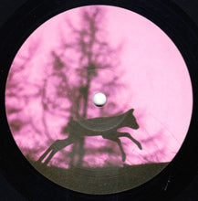 Load image into Gallery viewer, Patrick Specke &amp; Daze Maxim : Rio Besenreiser P A (12")
