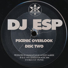 Load image into Gallery viewer, DJ ESP : Pscenic Overlook (2x12")
