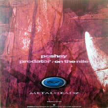 Load image into Gallery viewer, Peshay : Predator (12")
