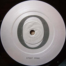Load image into Gallery viewer, Mr. Monday : Future (12")
