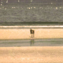 Load image into Gallery viewer, J Velez* : Territories (LP)
