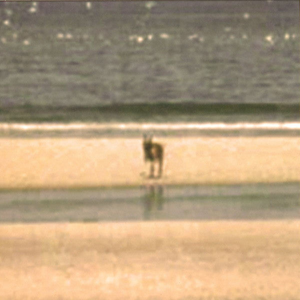 J Velez* : Territories (LP)