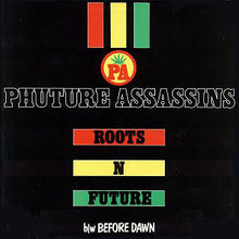 Load image into Gallery viewer, Phuture Assassins : Roots &#39;N Future (12&quot;)
