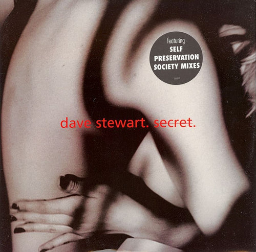 David A. Stewart : Secret (12