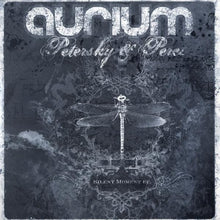 Load image into Gallery viewer, Peres &amp; Petersky : Silent Moment / Hello Ladies (12&quot;, Promo)
