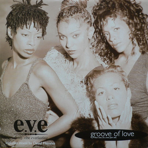 Ebony Vibe Everlasting : Groove Of Love (Part 2) (12