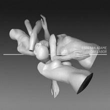 Load image into Gallery viewer, Esteban Adame : Day Labor (2xLP, Album)
