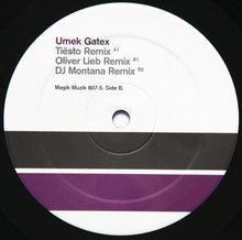 Load image into Gallery viewer, Umek : Gatex (2x12")
