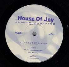 Load image into Gallery viewer, Vicki Sue Robinson : House Of Joy (12&quot;, Promo)
