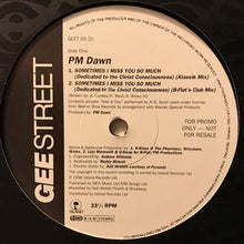 Load image into Gallery viewer, P.M. Dawn : Sometimes I Miss You So Much (Dedicated To The Christ Conciousness) (12&quot;, Promo)
