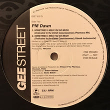 Load image into Gallery viewer, P.M. Dawn : Sometimes I Miss You So Much (Dedicated To The Christ Conciousness) (12&quot;, Promo)
