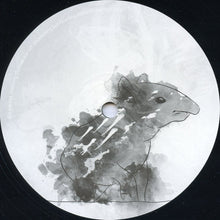 Load image into Gallery viewer, Tapirus : Where Are We Heading EP (12", EP)
