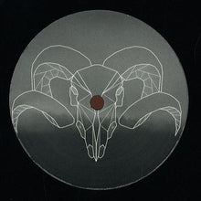 Load image into Gallery viewer, Kalli (7) : Hold Still (12&quot;)
