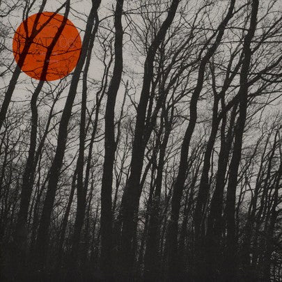 Heisenberg (4) : Ripatti 06 (12