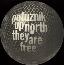 Load image into Gallery viewer, Potuznik* : Up North They Are Free (12&quot;)
