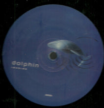 Load image into Gallery viewer, Player &amp; Remady Featuring Raquel (3) : Sweet Lies (12&quot;)
