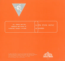 Load image into Gallery viewer, Planetary Assault Systems : The Drone Sector / Voodoo (12")
