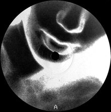 Load image into Gallery viewer, Oliver Ho : Metaphor (12")

