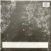 Load image into Gallery viewer, Nucleus &amp; Paradox : This Side Of Forever / Decompositions (12")
