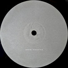 Load image into Gallery viewer, Audiovoid : Format (12")
