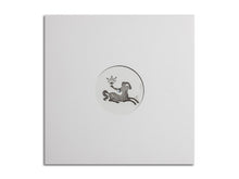 Load image into Gallery viewer, Downliners Sekt : Silent Ascent Remixes (12&quot;, Ltd)
