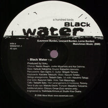 Load image into Gallery viewer, A Hundred Birds : Black Water (12")
