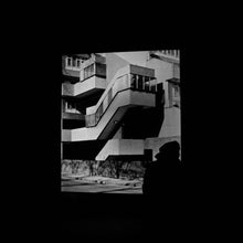 Load image into Gallery viewer, Babicka : Black Dog (12&quot;)
