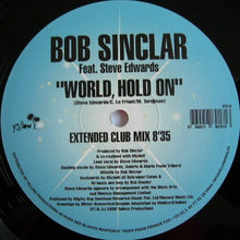 Load image into Gallery viewer, Bob Sinclar Feat. Steve Edwards : World, Hold On (12")
