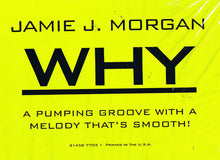 Load image into Gallery viewer, Jamie J. Morgan : Why (12&quot;)
