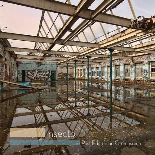 Insecto (2) : Post Edit De Un Cromosoma (2xLP, Album, Ltd)