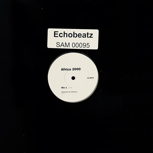 Echobeatz : Africa 2000 (12