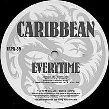 Load image into Gallery viewer, DJ U☆Hey? / Caribbean : K.O. / Everytime (12", Promo)
