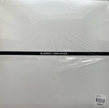 Load image into Gallery viewer, Troy Pierce : 25 Bitches Vol. II (12")
