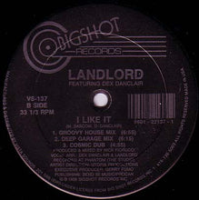 Load image into Gallery viewer, Landlord (2) Featuring Dex Danclair : I Like It (12")
