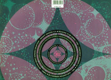 Load image into Gallery viewer, Foremost Poets : Reasons To Be Dismal ? (12")
