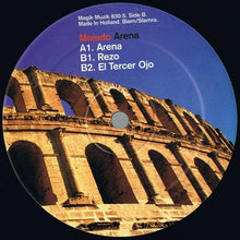 Load image into Gallery viewer, Mojado : Arena (12")
