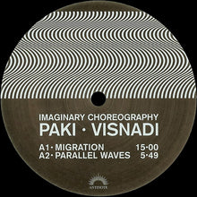 Load image into Gallery viewer, Paki* · Visnadi* : Imaginary Choreography (LP, Album)
