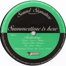 Load image into Gallery viewer, Theo Parrish : Summertime Is Here (12", S/Sided)
