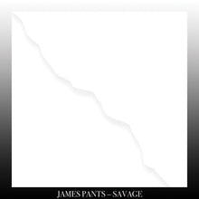 Load image into Gallery viewer, James Pants : Savage (LP, Album)
