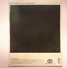 Load image into Gallery viewer, Mr Oizo* : Nazis (12")
