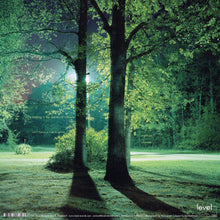 Load image into Gallery viewer, Anders Ilar : Organza EP (12", EP)
