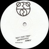 The 2 Bears : Not This Time (Capracara Remix) (12